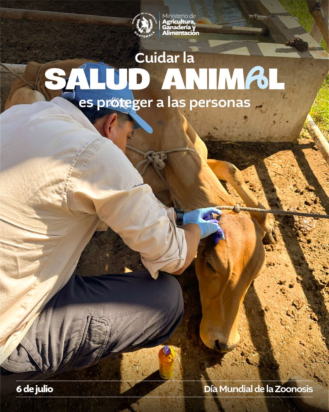 6 de julio - Día Mundial de la Zoonosis