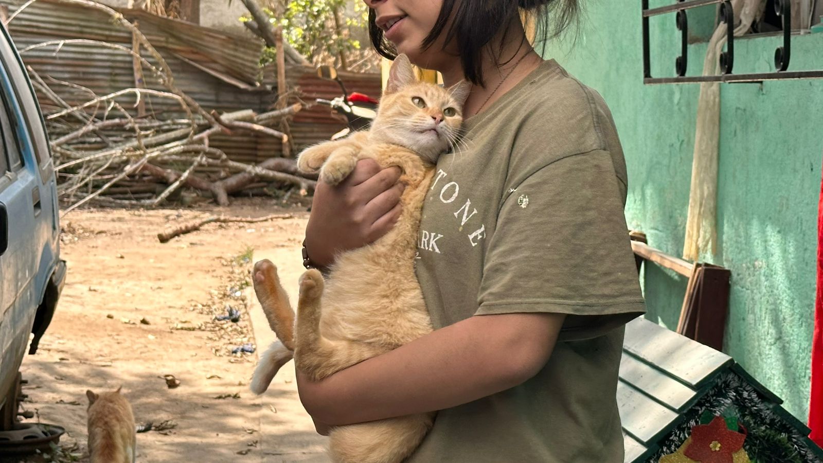 Cada gato merece una vida segura y llena de bienestar