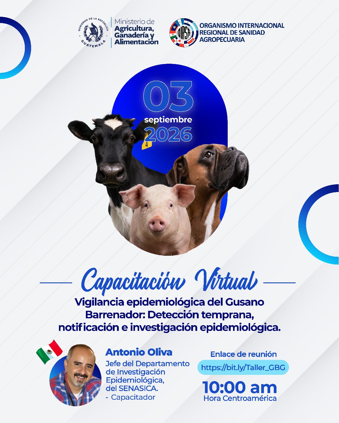 TALLER VIRTUAL GB