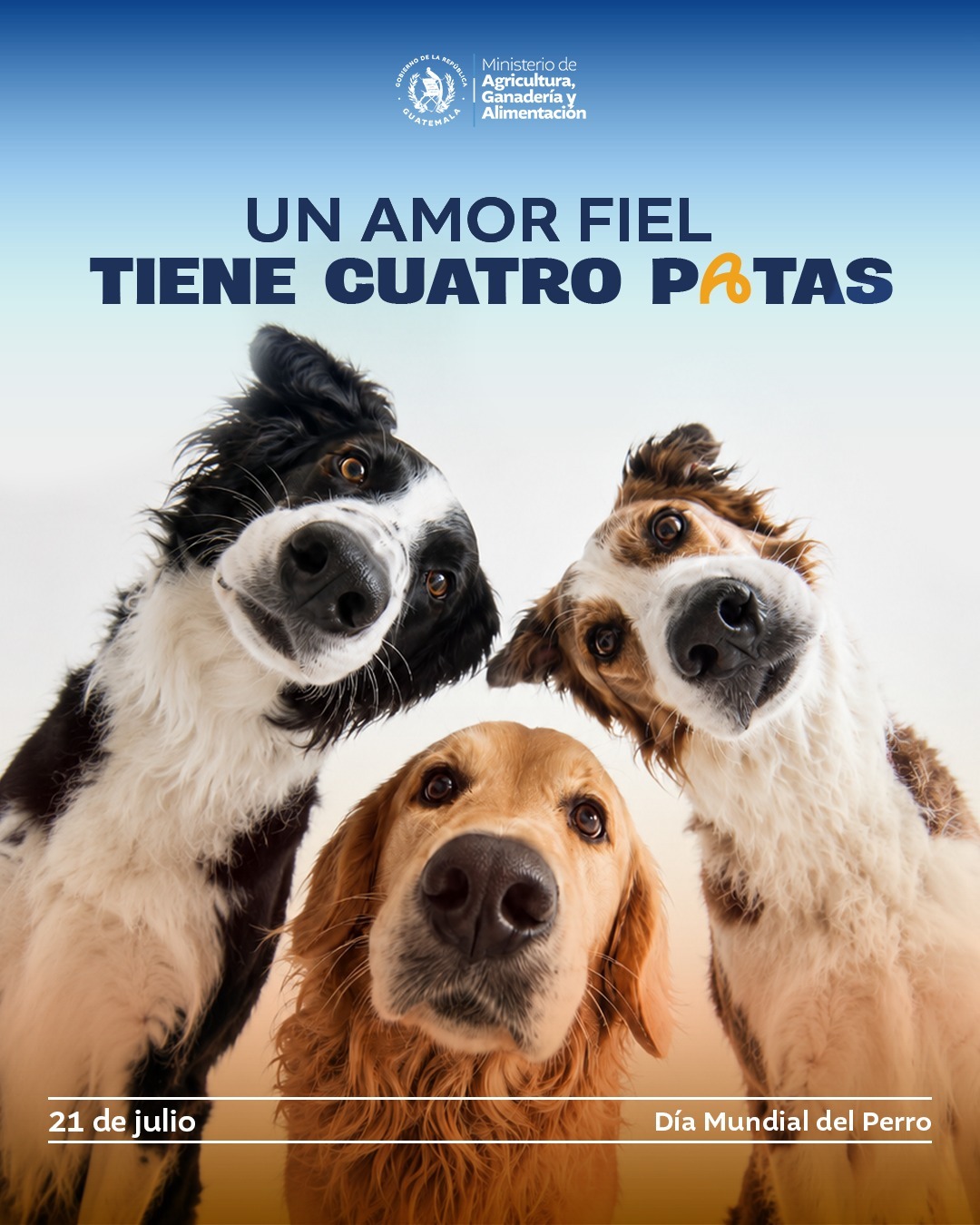 Día Mundial del Perro