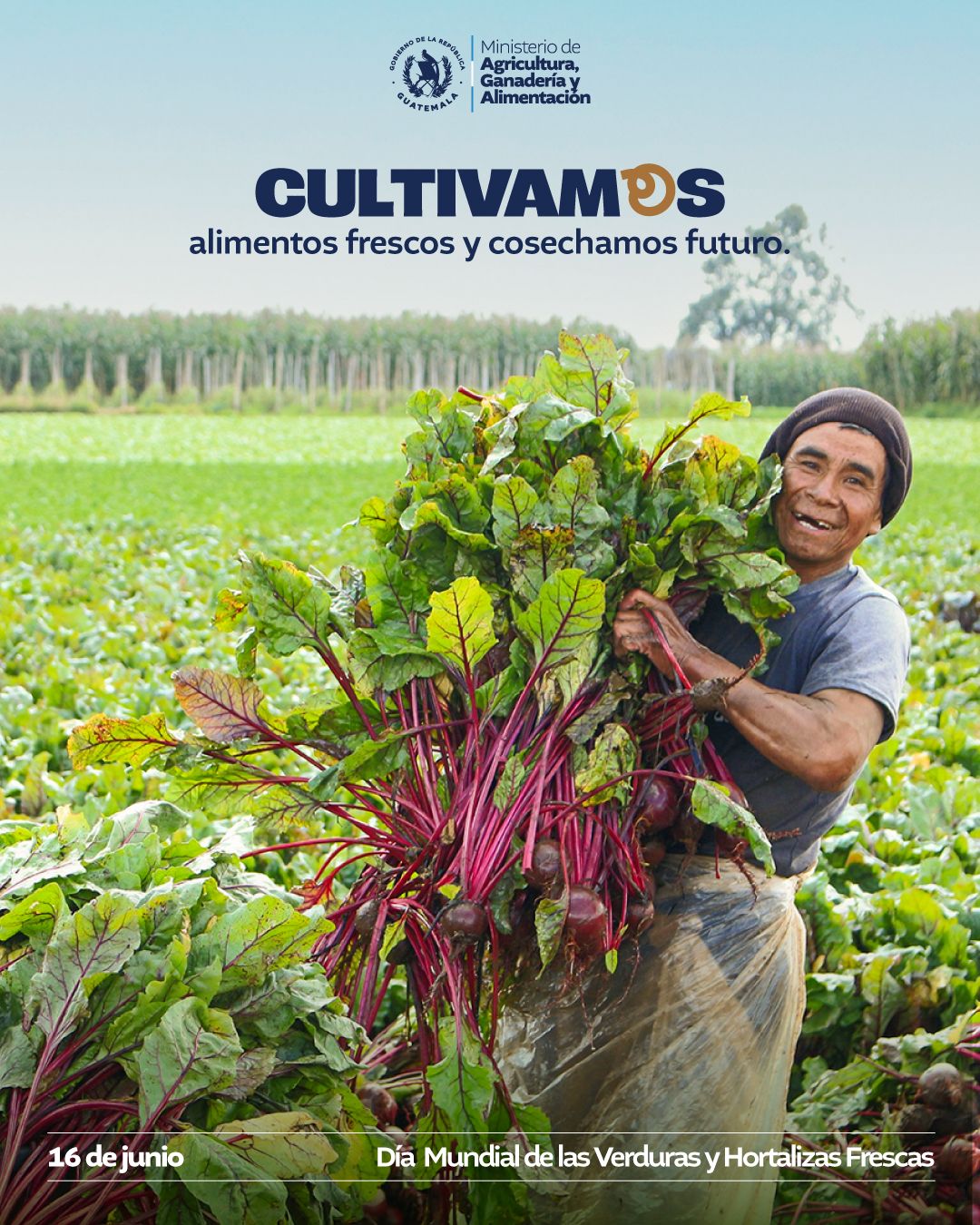 Día Mundial de las Verduras y Hortalizas Frescas