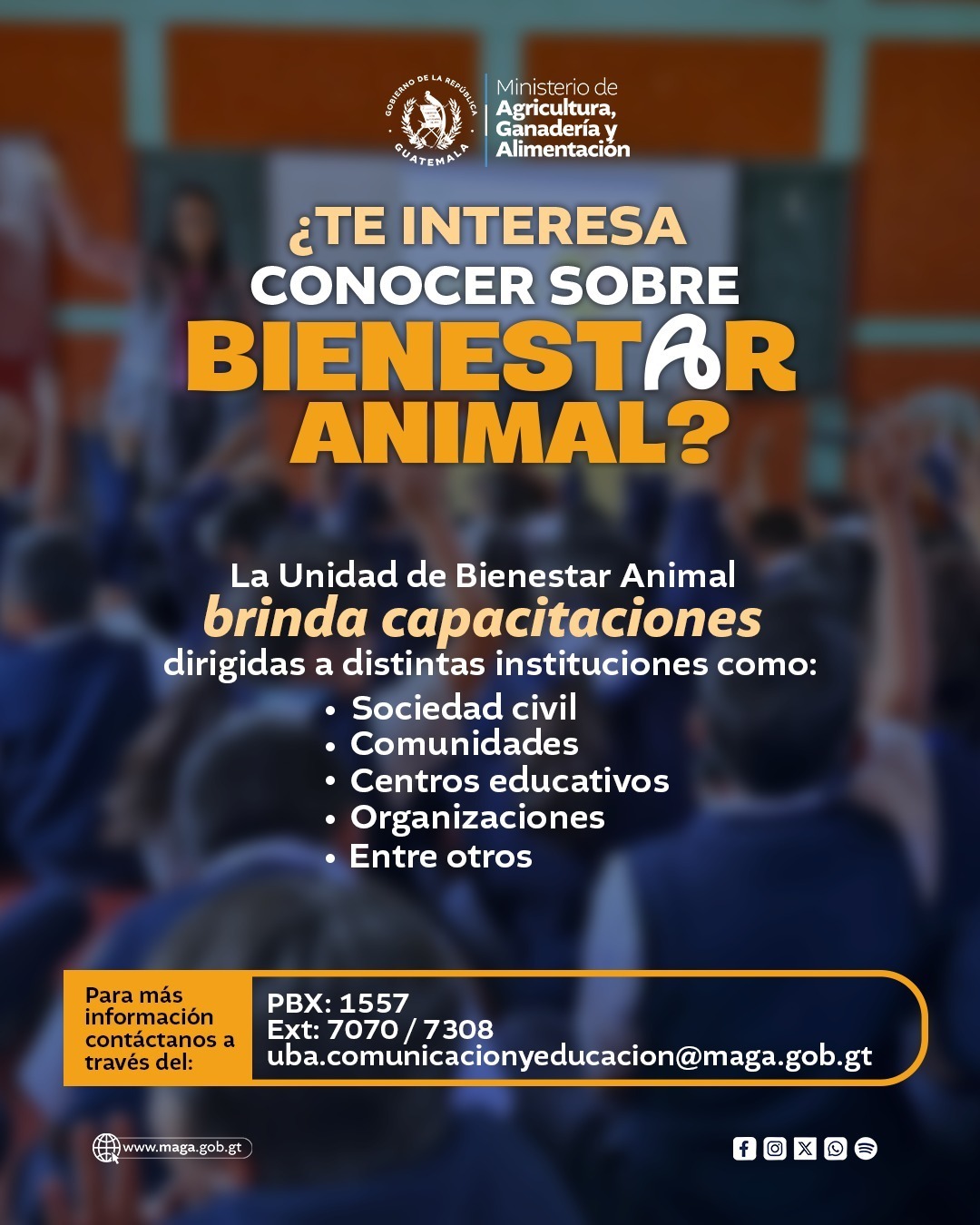 ¿Deseas aprender sobre bienestar animal?