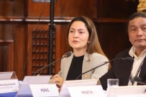 Viceministra de Políticas 