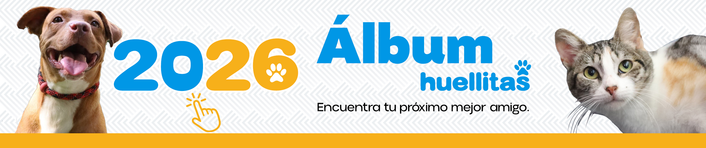 Catálogo Huellitas