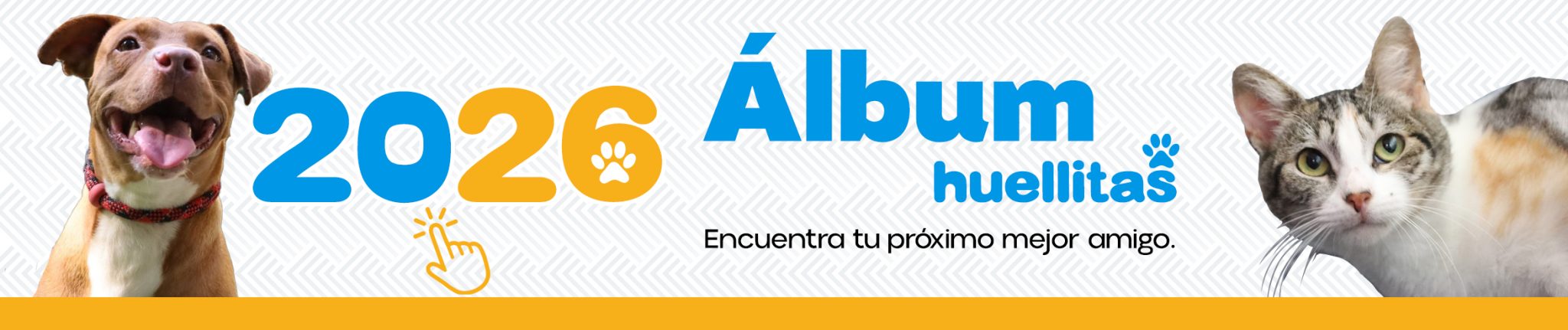 Ellos anhelan un hogar