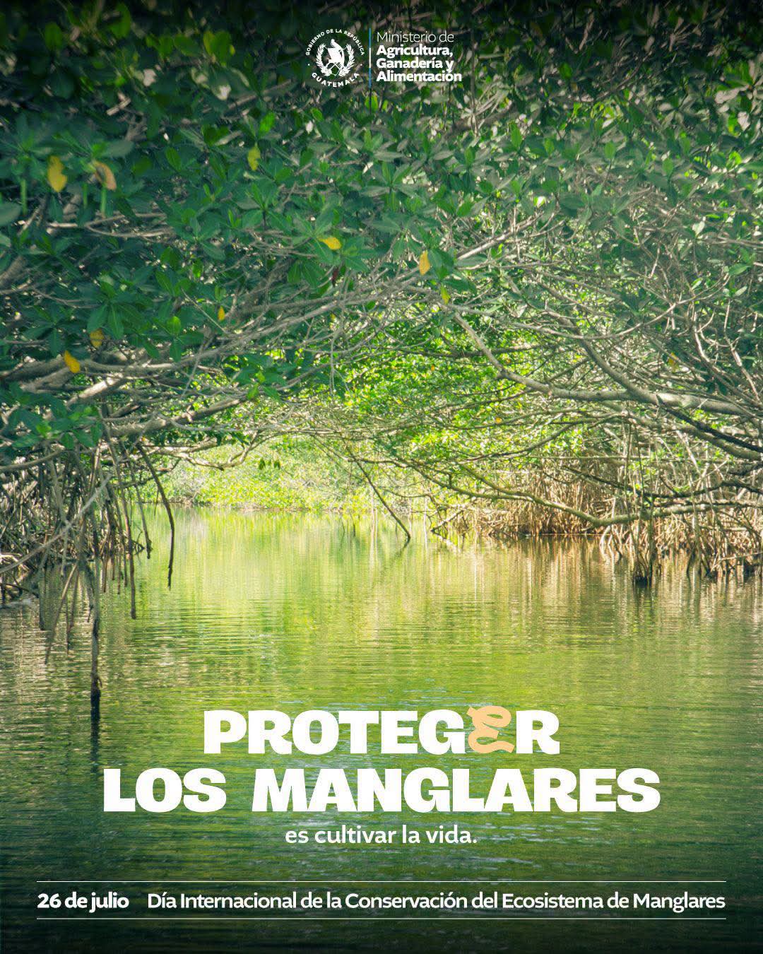 Día Internacional de la Conservación del Ecosistema de Manglares