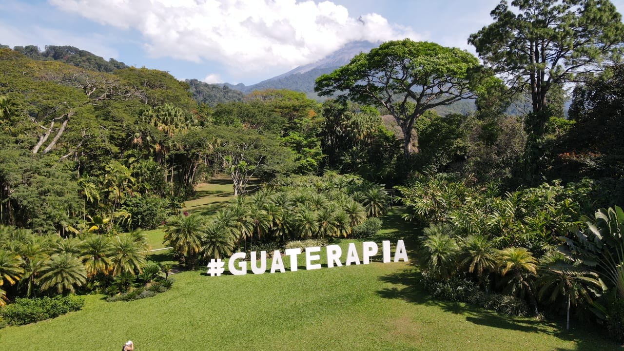 Guateterapia