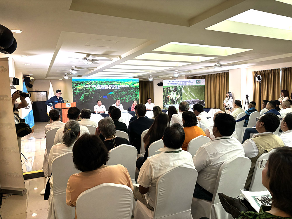 Firma de Acuerdos de Intención