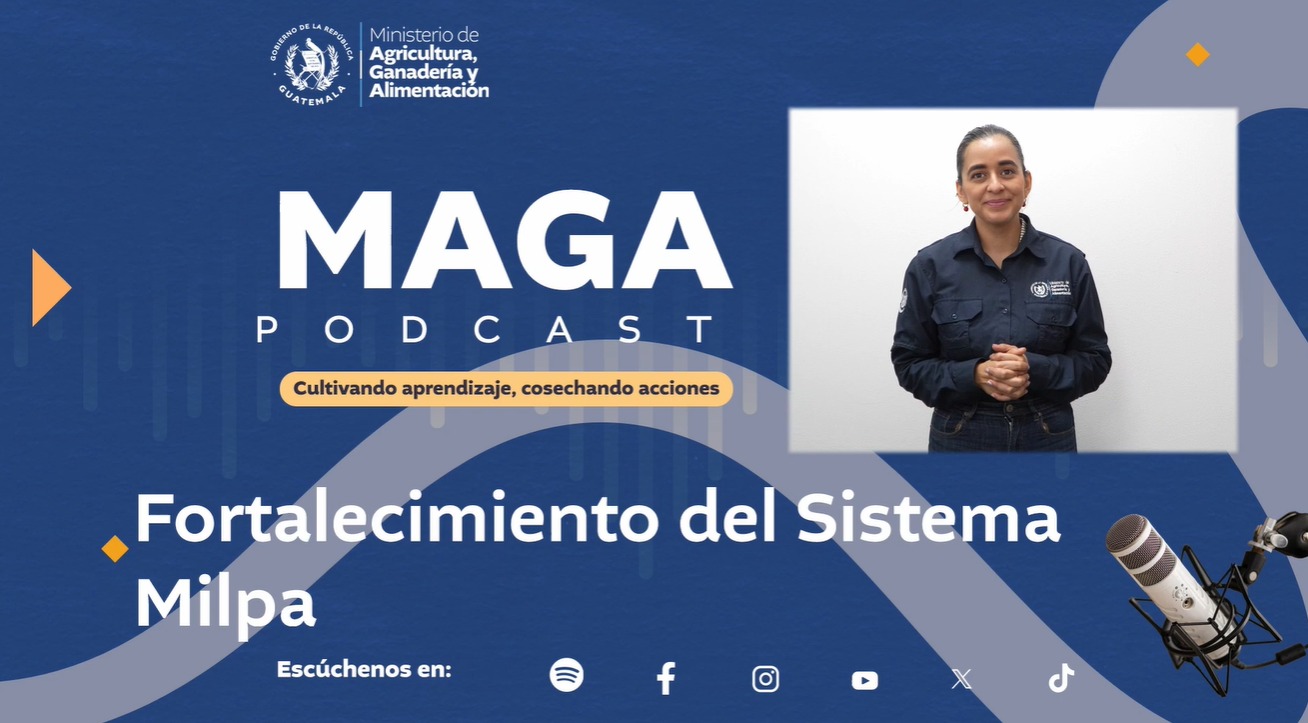 MAGA Podcast