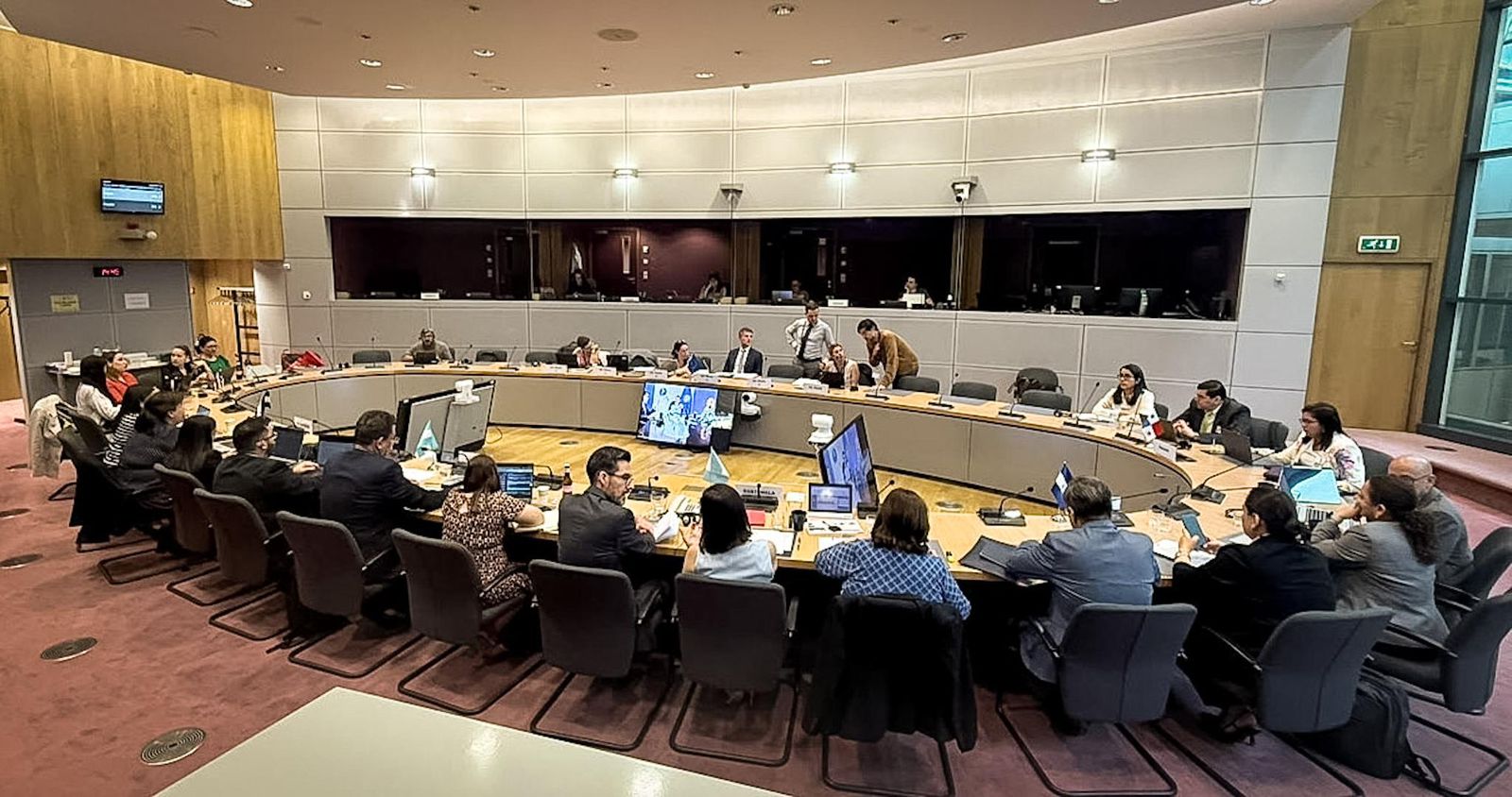 MINECOBRUSELAS