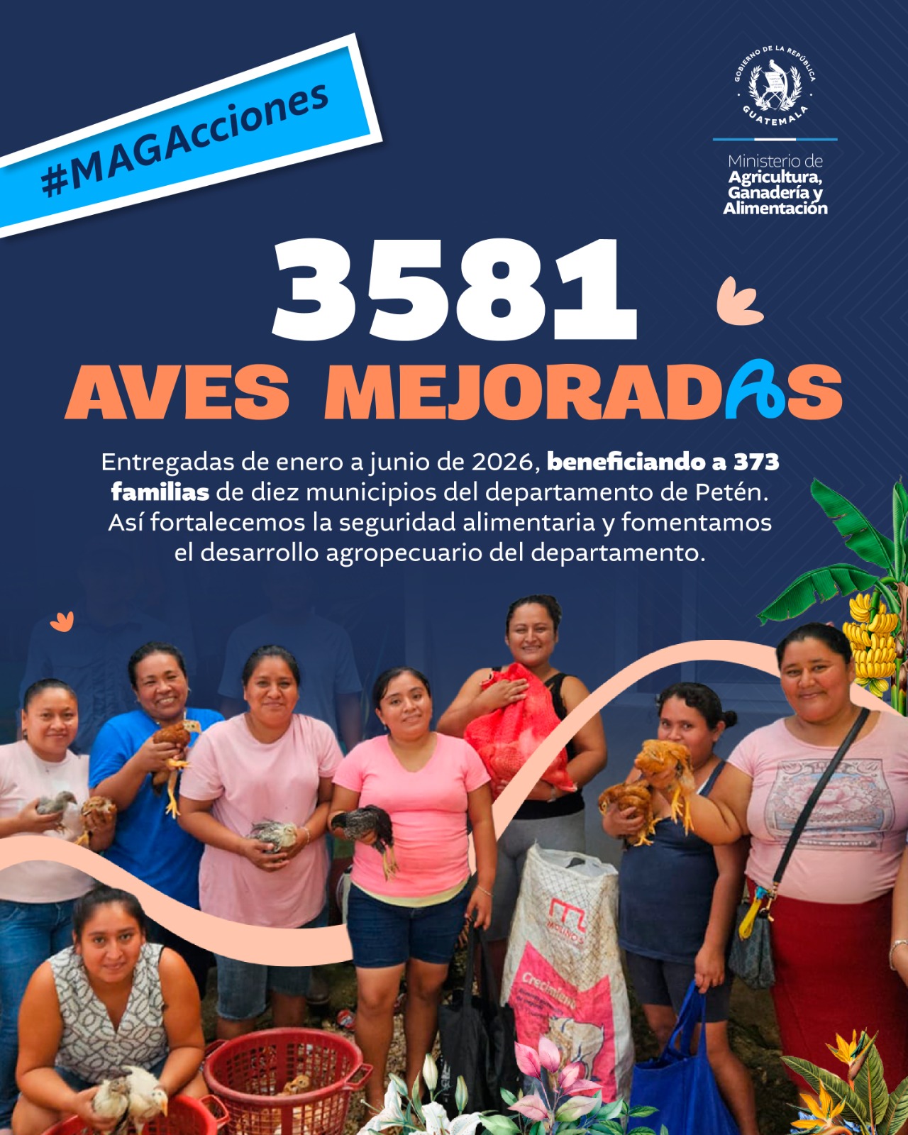 MAGAcciones | Aves mejoradas fortalecen la producción de más de 300 familias en Petén