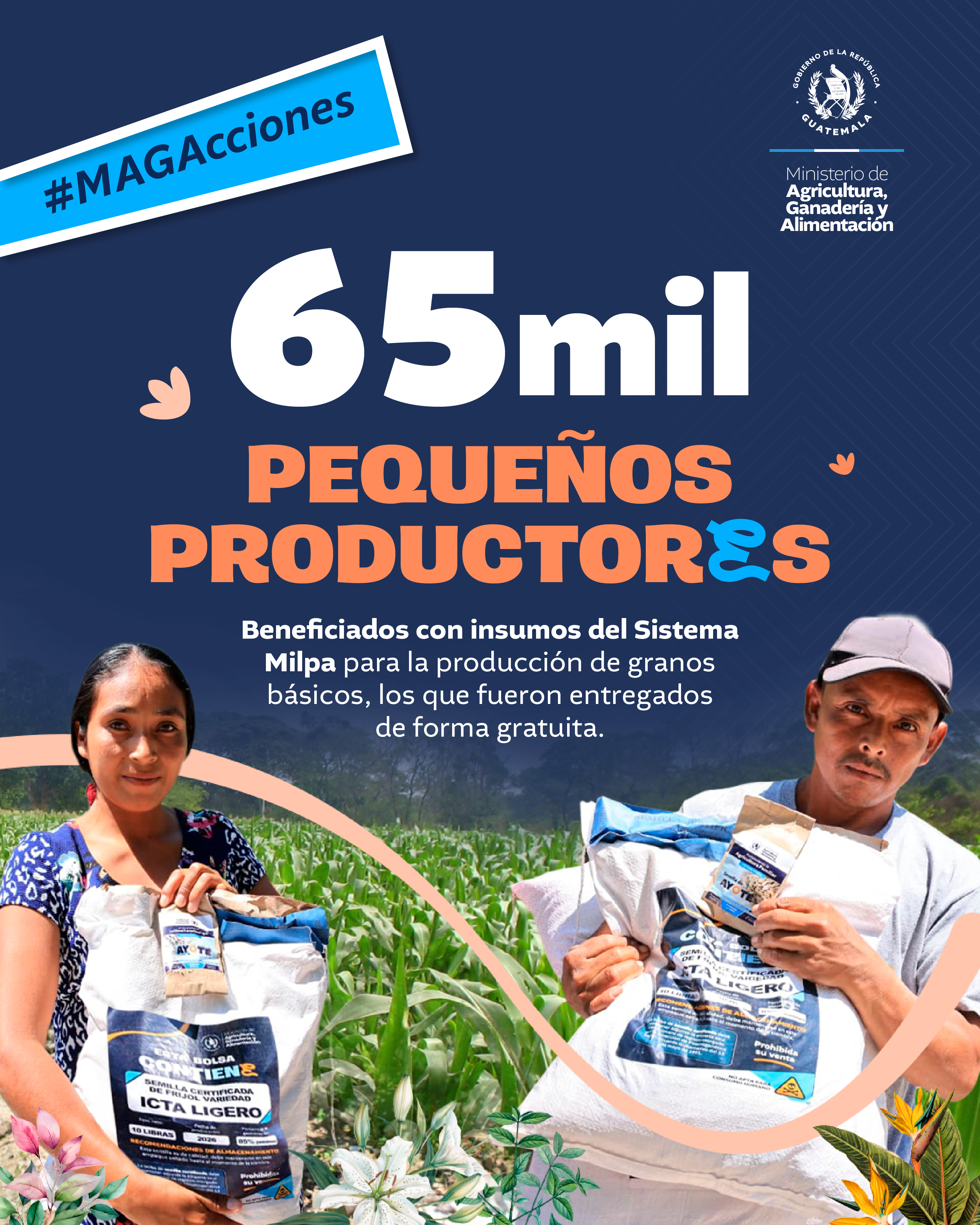 Realizamos la entrega de semillas a 65 mil pequeños productores, como parte de las acciones impulsadas para fortalecer el sistema milpa a nivel nacional.