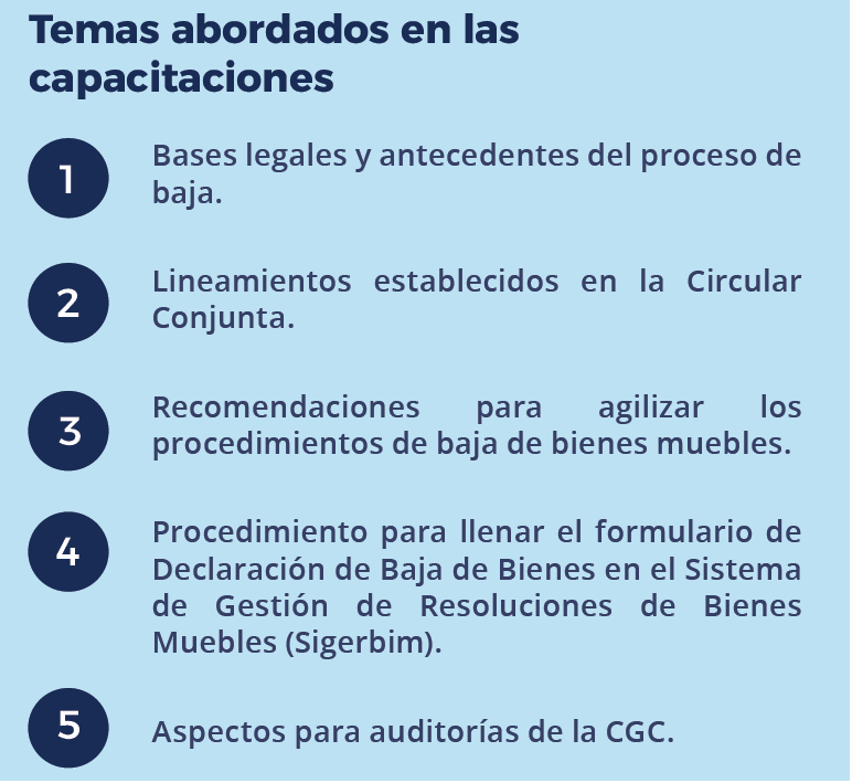 TEMAS ABORDADOS EN LAS CAPACITACIONES