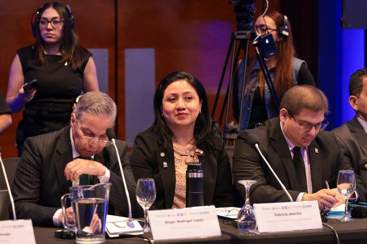 VICEMINISTRA DE FINANZAS