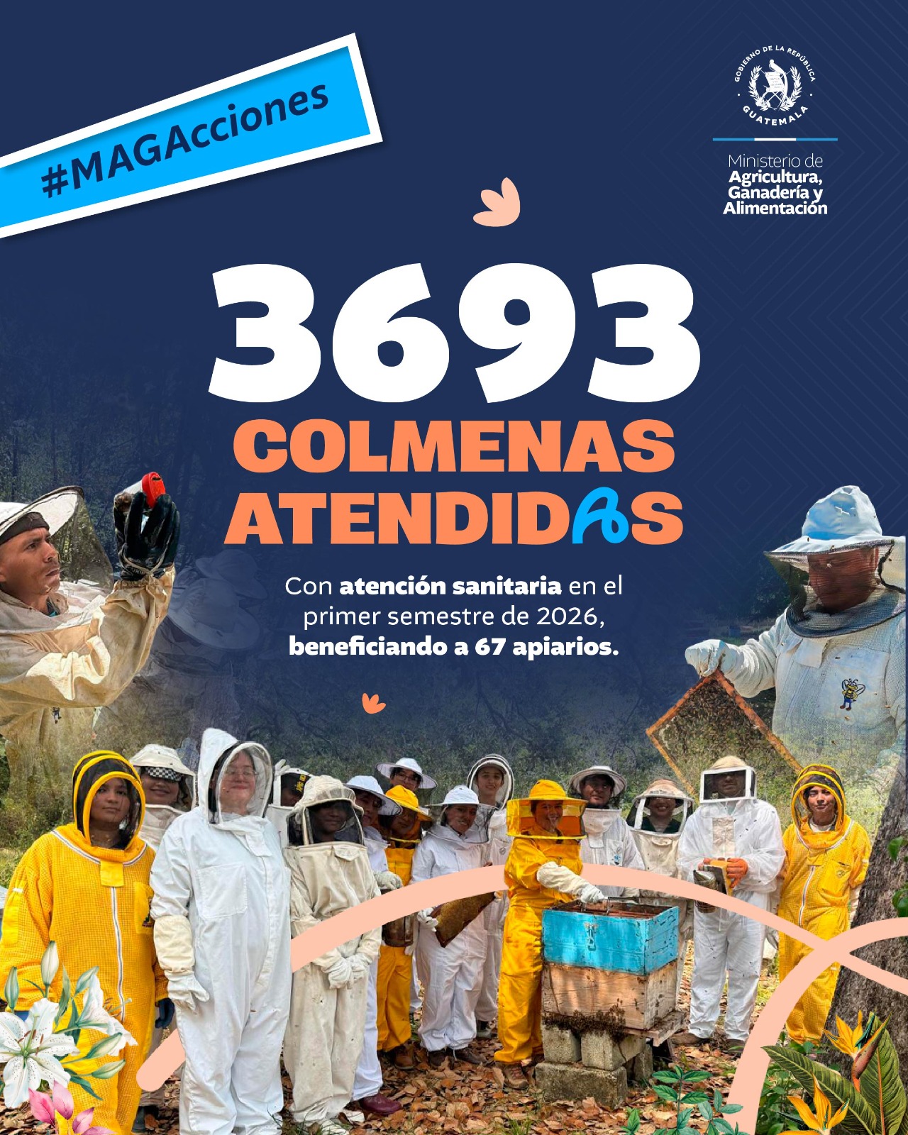 Más de 3 mil colmenas del país recibieron atención sanitaria en seis meses