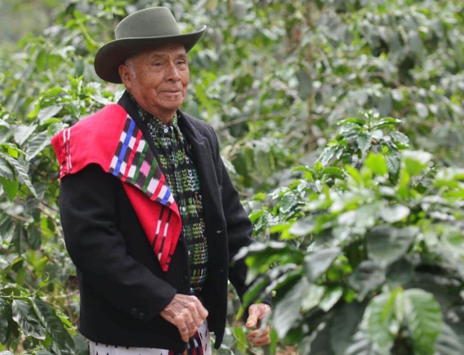 Pueblos indígenas fortalecen la seguridad alimentaria y el desarrollo agrícola del país