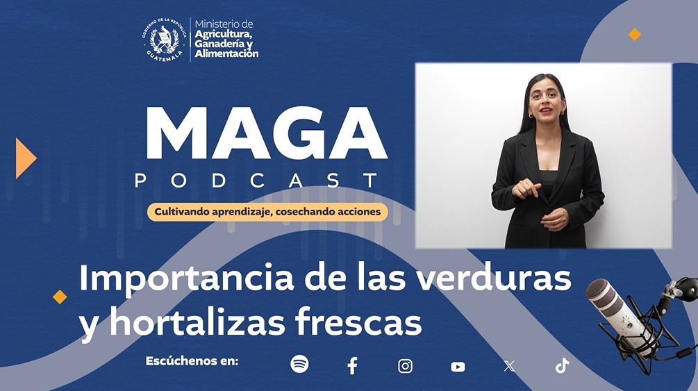 La importancia de las verduras y hortalizas frescas