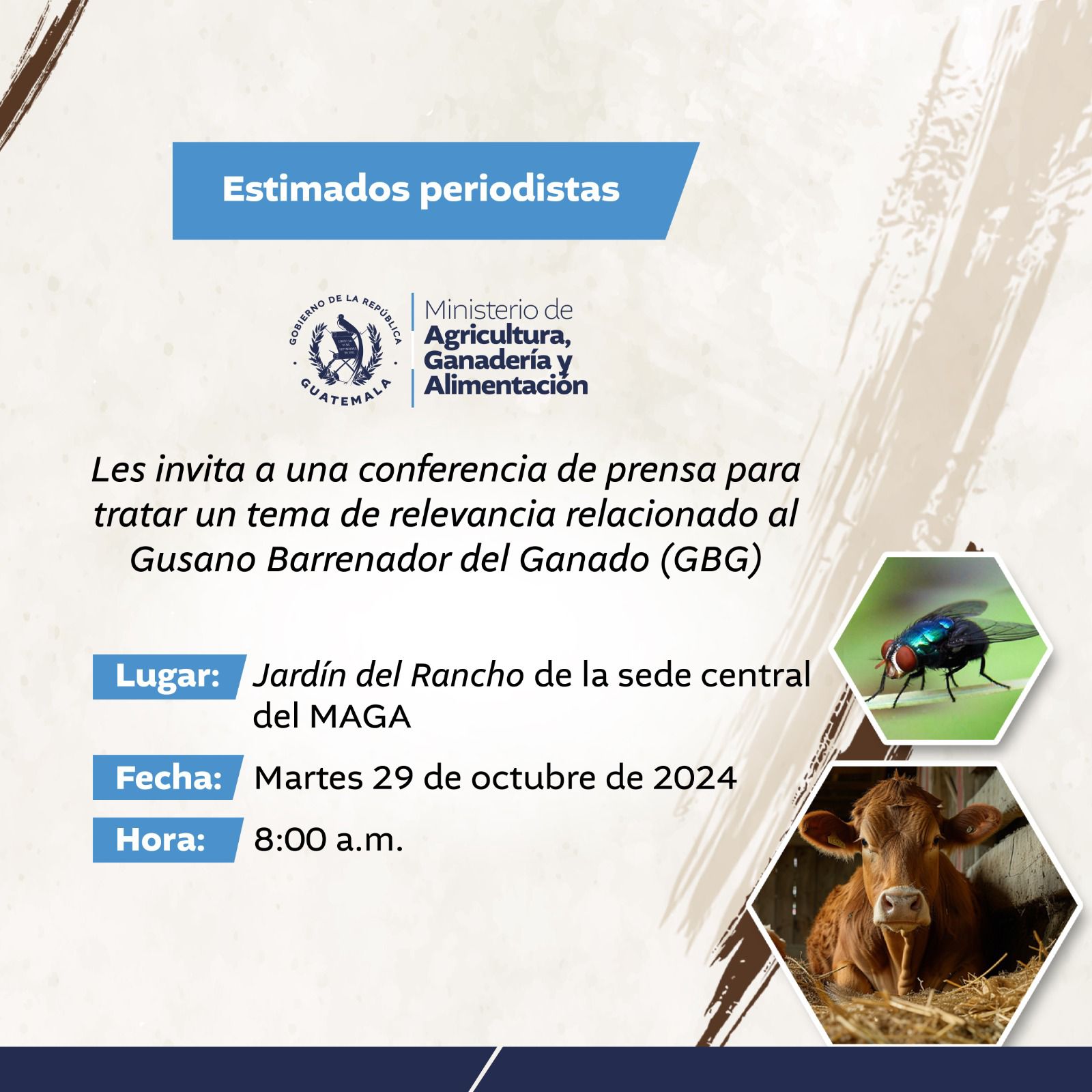 Gusano Barrenador del Ganado