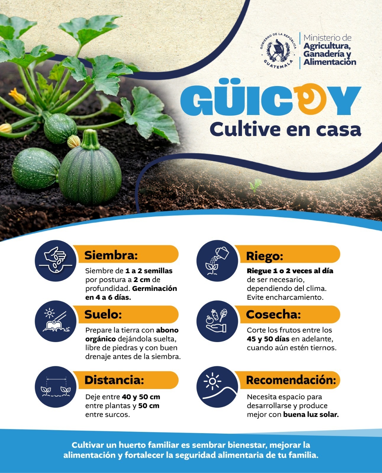 Cultive güicoy en casa
