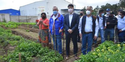 Presidente Alejandro Giammattei ve en los huertos la oportunidad de tener alimentos para la población