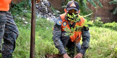 Soldado en actividad de reforestación.