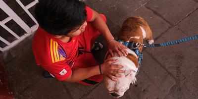 Acariciar a un perro es una terapia de relajamiento