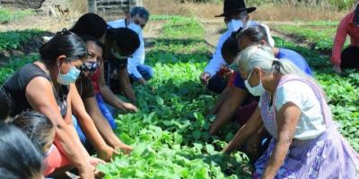 Supervisan entrega de alimentos y huertos familiares en Jalapa