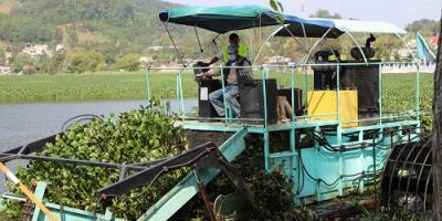 Personal del MARN desarrolla jornada de limpieza en la Laguna Chichoj