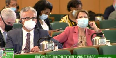 Ministro MAGA Precumbre sistemas alimentarios