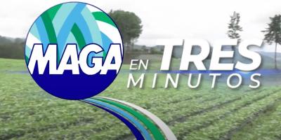 MAGA en Tres Minutos