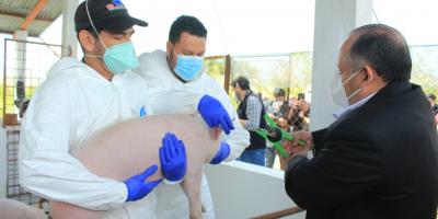 Trazabilidad porcina representa mejores oportunidades para el comercio en Guatemala