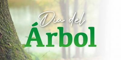arboles, bosque