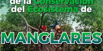 hombre saltando al manglar