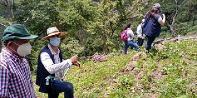 Técnicos mejoras las prácticas agrícolas de familias rurales