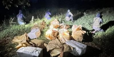 Ejército de Guatemala apoya el combate de las amenazas provenientes del crimen organizado transnacional