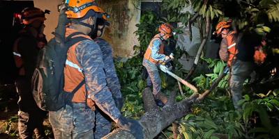Caída de árbol sobre una vivienda ubicada en la colonia El Paraíso, Mazatenango, Suchitepéquez.