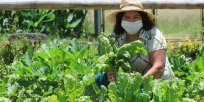 MAGA capacita de forma integral a mujeres rurales
