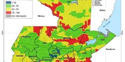 MAGA recomienda a productores proteger sus insumos agrícolas y los animales 