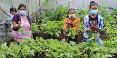 Una nueva oportunidad para producir alimentos 
