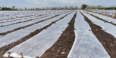 FONTIERRAS asesora a beneficiarios