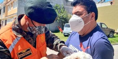 Jornada de vacunación canina y felina 