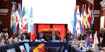 IV Reunión Anual del MIRPS