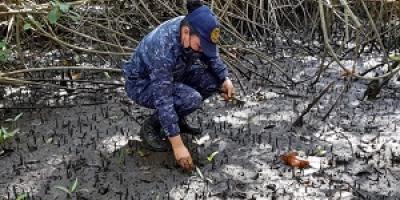 Unidades navales participaron en la reforestación de mangle rojo.