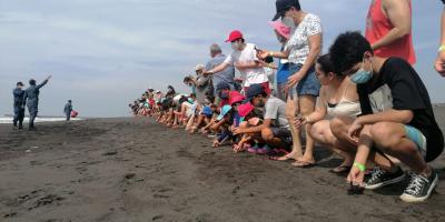 Liberación de tortugas marinas en el Comando Naval del Pacífico.