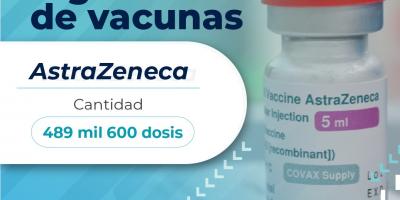 Ingreso Vacunas