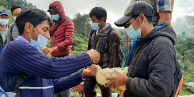 Vacunación de aves