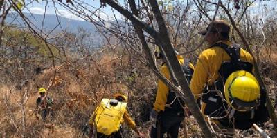 incendios forestales