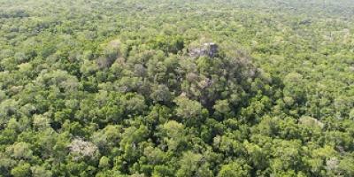 reserva de biosfera maya