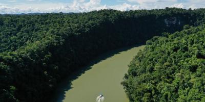 Resguardar los humedales es actuar a favor de la vida