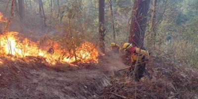Brigada de Respuesta a Incendios Forestales –BRIF/GUA- de la CONRED controla un incendio forestal en el departamento de Quiché.